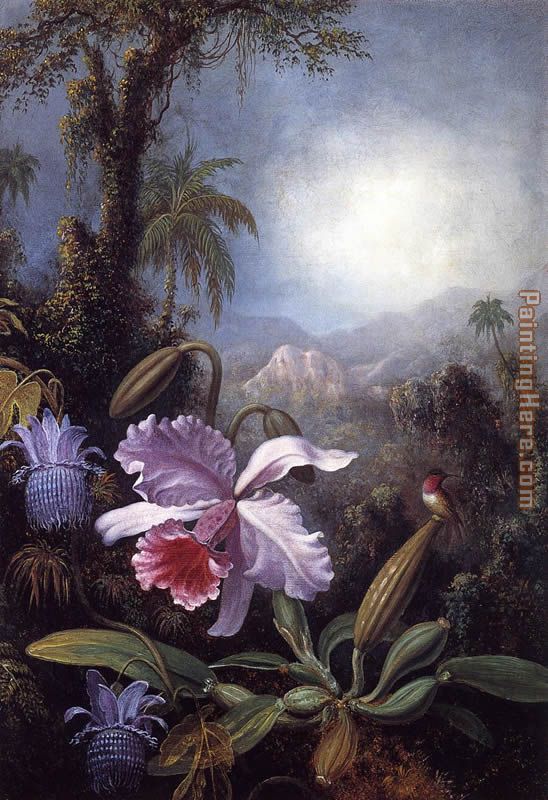Orchids, Passion Flowers and Hummingbird